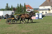 IMG_0003