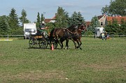 IMG_0004