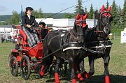 IMG_0006