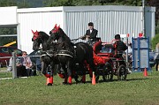IMG_0007