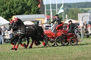 IMG_0008