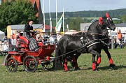 IMG_0009
