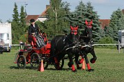 IMG_0011