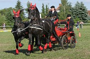 IMG_0012