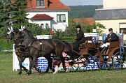 IMG_0013