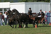 IMG_0014