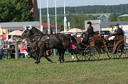 IMG_0015