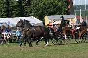 IMG_0016