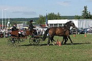 IMG_0017