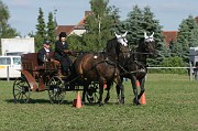 IMG_0019