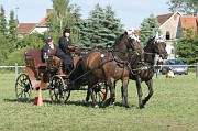 IMG_0020