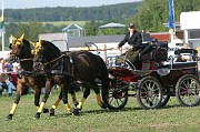 IMG_0021