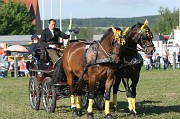 IMG_0022