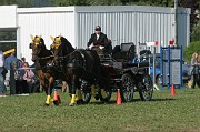 IMG_0023
