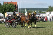 IMG_0024