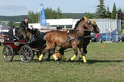 IMG_0025