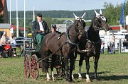 IMG_0027