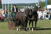 IMG_0028
