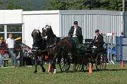 IMG_0029