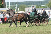 IMG_0030