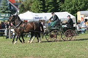 IMG_0031