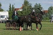 IMG_0033