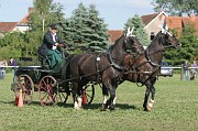 IMG_0034