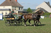 IMG_0035