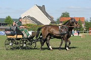 IMG_0036