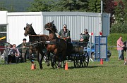 IMG_0037