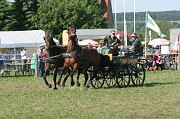 IMG_0039