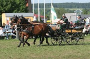 IMG_0041
