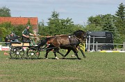 IMG_0042