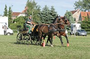 IMG_0043