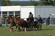 IMG_0002