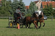 IMG_0004