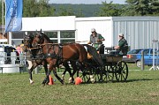 IMG_0006