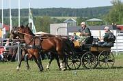 IMG_0007