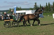 IMG_0008