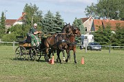 IMG_0009