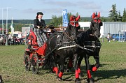 IMG_0011
