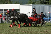 IMG_0012