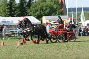 IMG_0013