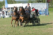 IMG_0015