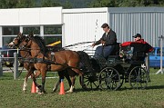 IMG_0016