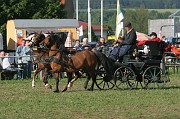IMG_0017