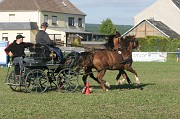 IMG_0018