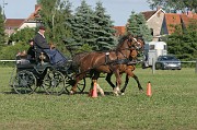 IMG_0019