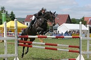 IMG_0009