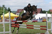 IMG_0012